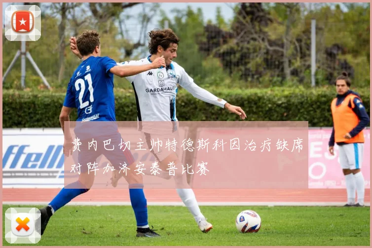 费内巴切主帅特德斯科因治疗缺席对阵加济安泰普比赛