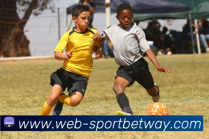 必威体育APP 封面图